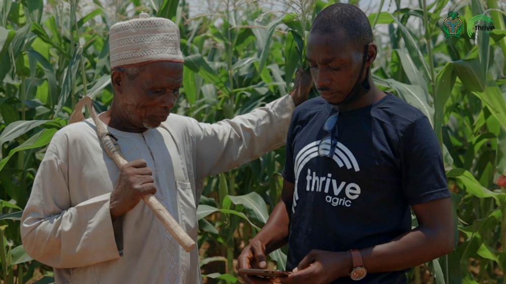 How Thrive Agric plans to steady its coronavirus-rocked boat
