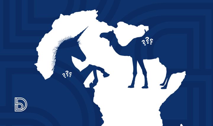 Africa's new hot startups: Camels or unicorns?