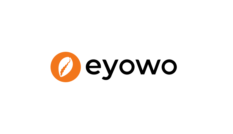 Eyowo: We have restored customers' access to their funds