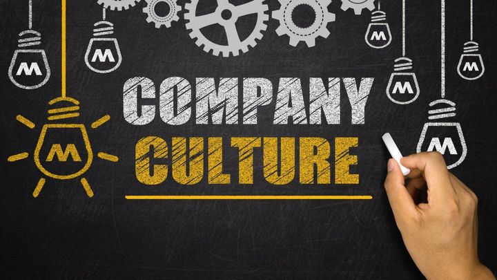 Company Culture: Why it is important and how to build it